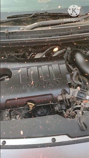i20: Every Service & Maintenance Explained