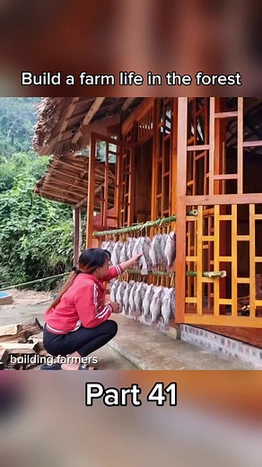 Part 41 - Harvesting fish ponds at the farm and processing smoked fish for preservation #bushcraft #harvest #build #garden #fruit #farmlife #wildlife #forestlife