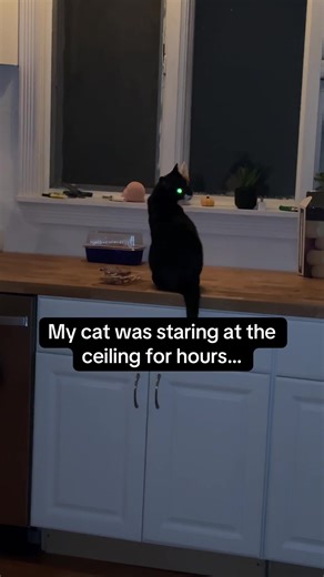 Uncovering the Mystery of the Attic