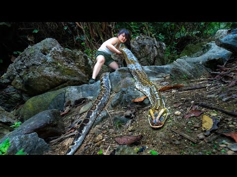 Confronting a Giant Python - How to Survive for Days, Part 3