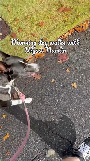 Hot watch walk with @UlysseNardinOfficial 💚 #iykyk #quietluxury #luxurywatches