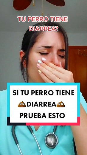 Remedios caseros para la diarrea en perros: 3 tips efectivos