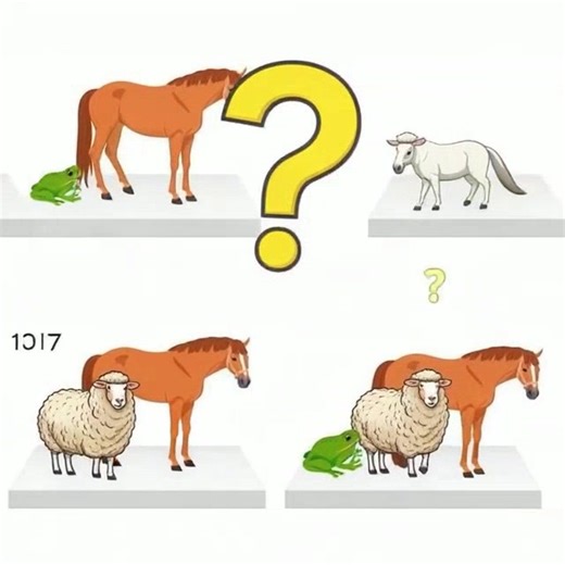 易 Pouvez-vous déchiffrer le code ? Seuls les esprits les plus vifs trouveront le poids final correct… | Top Animaux | Facebook