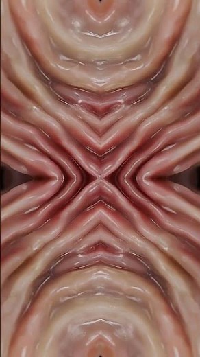 This Is Inside the Uterus (Unseen View)