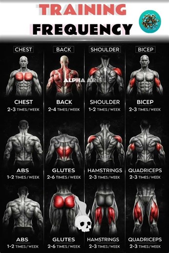 Science Based Training Frequency For Fast Muscle Gains #shorts #memes #gym #fitness #motivation #fyp