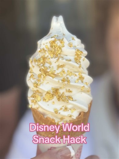 Money-Saving Tips for Disney World with Toddlers