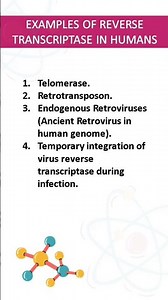 REVERSE TRANSCRIPTASE IN HUMAN