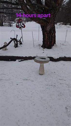 12-29-25 National Mine, MI roughly 24 inches, maybe a bit more. The lump at the very end is another bird bath but the snow gets caught there. #snow #storm #uppermichigan #yooper #winter