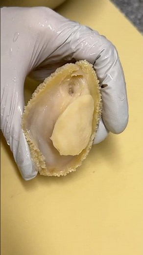 How to easily clean Abalone #abalone #clean