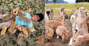 Here’s Why This Island In Japan Is Home To Thousands Of Rabbits - ScoopWhoop
