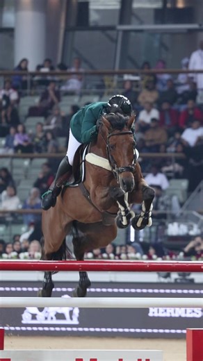 Jumping into the Weekend: Showjumping Fun