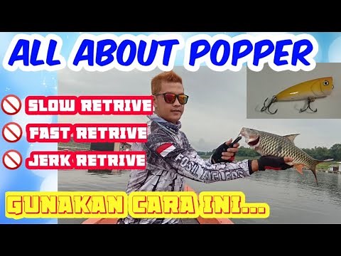 Cara menggunakan lure popper agar strike hampala || How to use popper