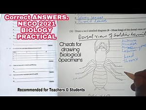 Correct ANSWERS,NECO BIOLOGY PRACTICAL 2021