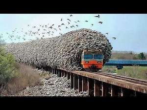 Wonders of the World | Epic Moments in Nature You Won't Believe | 4K Documentary