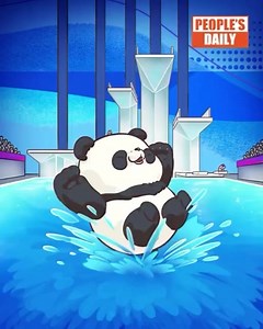 6.2K views · 65 reactions | Today, Pan tries another Asian Games discipline, #diving, but maybe it's too hard for a panda like him. The diving events of the #HangzhouAsianGames have come to the last stage at the Hangzhou Olympic Sports Center Aquatic Sports Arena. Divers are competing for four remaining gold medals. | Xi's Moments | Facebook