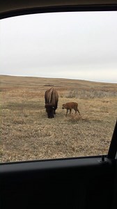 15K views · 1.1K reactions | Park tidbits Park staff are starting to...