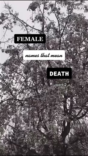 🖤 #death #names #darkaesthetic #girlnames #namemeaning #evil #nameinspiration #BookTok #female #namemeanings #dark