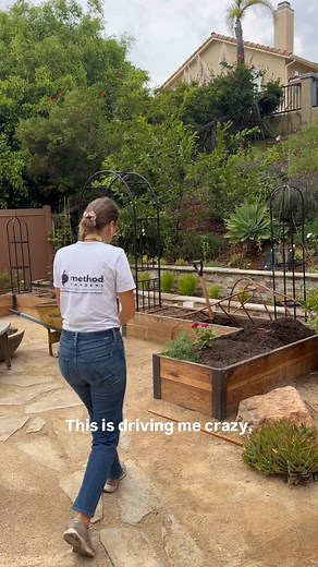 I’m over it 😒🤣 My once a year super workout is pulling these huge roots. 😅 Pepper trees have a very aggressive root system and I can confirm this. Do you have a similar issue? 👉 Follow @methodgardens for gardening tips and inspiration. #sandiegogarden #gardeningtipsforbeginners #kitchengardening #raisedbedgarden #growyourownfood #growyourownfood #sandiegogardening #kitchengardens | Method Gardens