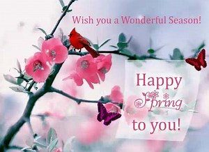 Free Online Greeting Cards, Ecards, Animated Cards, Postcards, Funny Cards From 123Greetings.com