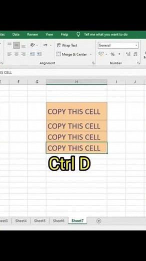 How To Copy Data from Above Cell - Excel Shortcuts - Tips & Tricks