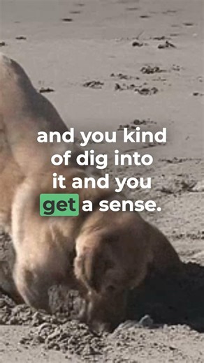 Building Competitive Intelligence? Start With This