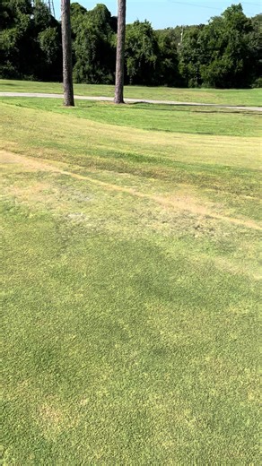 Improving a Golf Course: Turf Care and Agronomy Tips