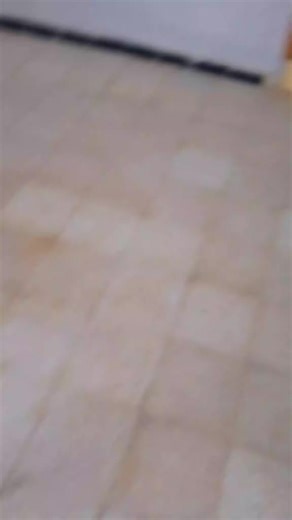 موسيقى الأعراس الجزائرية القديمة
