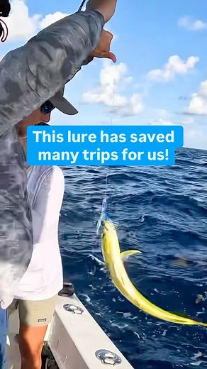This is a great simple and inexpensive lure to keep on the boat! I almost always have one out way back when trolling for Mahi, Tuna, etc. I use a lot of them in the keys to while fishing for Mahi or Tuna around the humps. Light colors for Mahi and dark ones for tuna. #mahi #tuna #lures #fishing #floridakeys | Reel Hazardous Fishing