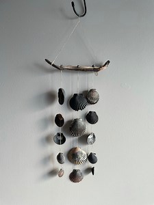 Scallop Shell Wind Chime - Etsy