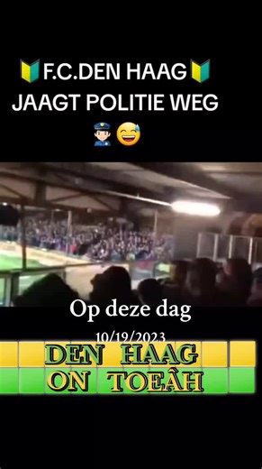 Verken de Japanse Tuin in Den Haag