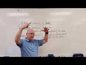 Professor Long - Lecture 2.1 Intro to Tissues and Epithelial Tissues