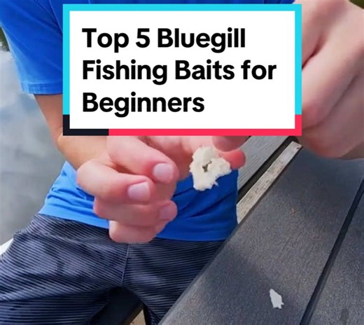 Top 5 Bluegill Fishing Baits for Beginners | fishing baits