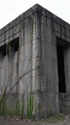 The Rabbit Island of Japan