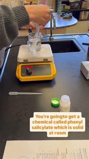 Igneous Rock Crystal Size Lab
