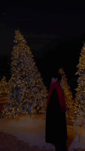 Merry Christmas Celebrations with Chinese Culture