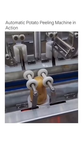 technology & engineering on Instagram: "Watch an industrial potato peeling machine quickly and efficiently remove the skin from a potato using automated blades."