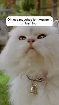 Stuart Little 2 - Extrait « Snowbell »