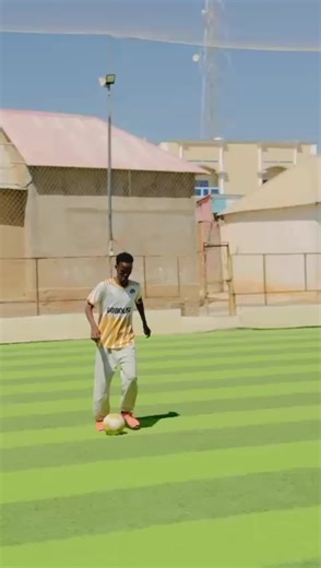 Last Day of Training: Highlights and Insights