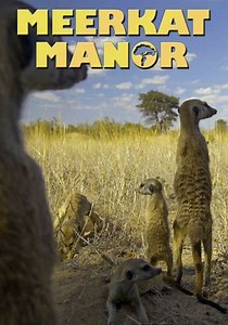 Meerkat Manor (2005-2008) - Season 3 Episodes and Ratings