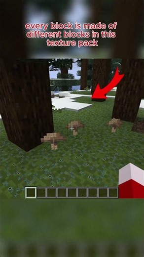 Minecraft but everything is made of blocks #minecraft #shorts #gaming