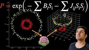 This Brain Organoid Shockingly Outperforms Our AI! – Lifeboat News: The Blog