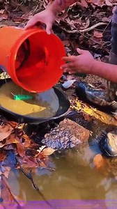 Carefully remove debris from the sluice, ensuring smooth water flow. Check for blockages, rinse thoroughly, and maintain proper alignment for efficiency. | Easy02 | Facebook