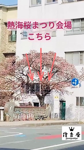 熱海 住吉屋 on Instagram: "桜より先に、心が満開。 苺シュークリーム串で熱海の食べ歩き、優勝。 自家製カスタード×苺チョコの最強タッグ。 熱海桜まつり（1/14〜2/8）のお供にどうぞ。 390円 #熱海 #熱海旅行 #熱海グルメ #熱海食べ歩き #熱海スイーツ #住吉屋 #苺スイーツ #いちごスイーツ #いちご #苺 #シュークリーム #チョコレート #カスタード #食べ歩き #桜スイーツ #桜まつり #熱海桜まつり #お祭りグルメ #映えスイーツ #スイーツ巡り #静岡グルメ #静岡スイーツ #旅のおとも #手土産 #プチご褒美 #今日のおやつ #スイーツ好きな人と繋がりたい #カフェ巡り好きな人と繋がりたい #japantravel #atami"