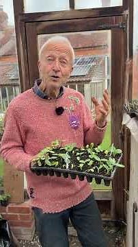 Propagation: 3 Tips That Make a Difference