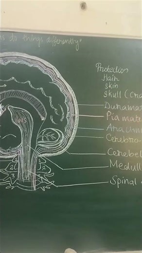 Relax and Understand the concept in theta wave frequency. Human Brain