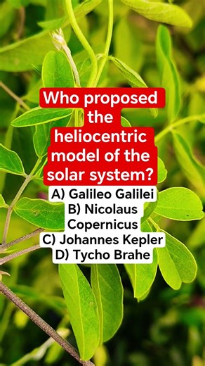 Who proposed the heliocentric model of the solar system?