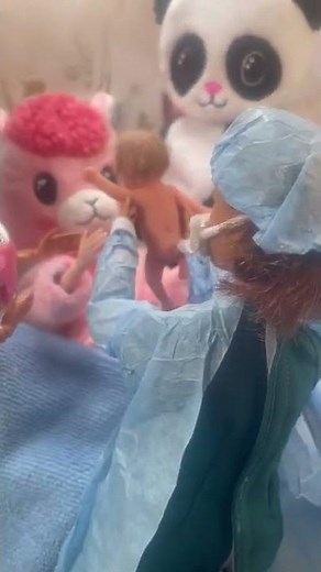 Pregnant Barbie Furry gives birth to Barbie baby!