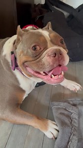 Sarah Red Curtis on Reels