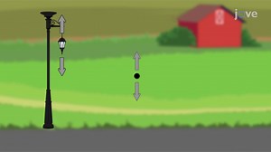 Video: Free Body Diagrams: Examples