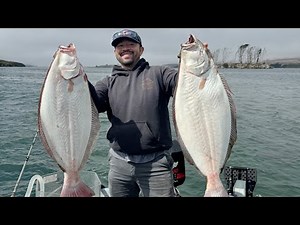 Tomales Bay Halibut, and Thresher Shark rodeo! Catch and Cook